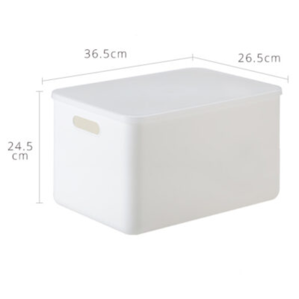 Cajas - Box Varios Grande
